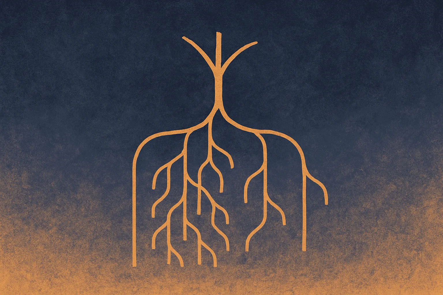 a single branching tree explored three different ways: one straight path down, many full paths to the bottom edge, and a